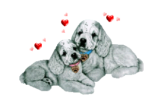 chien